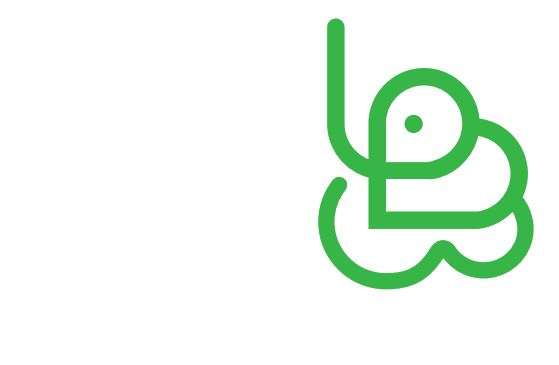 MiniElephant